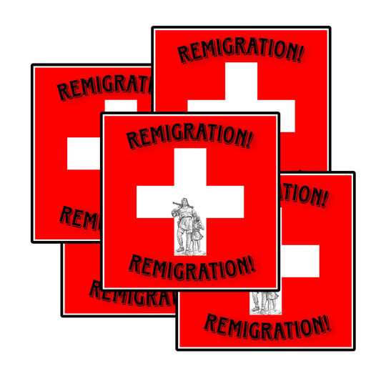„REMIGRATION!“ Stickers